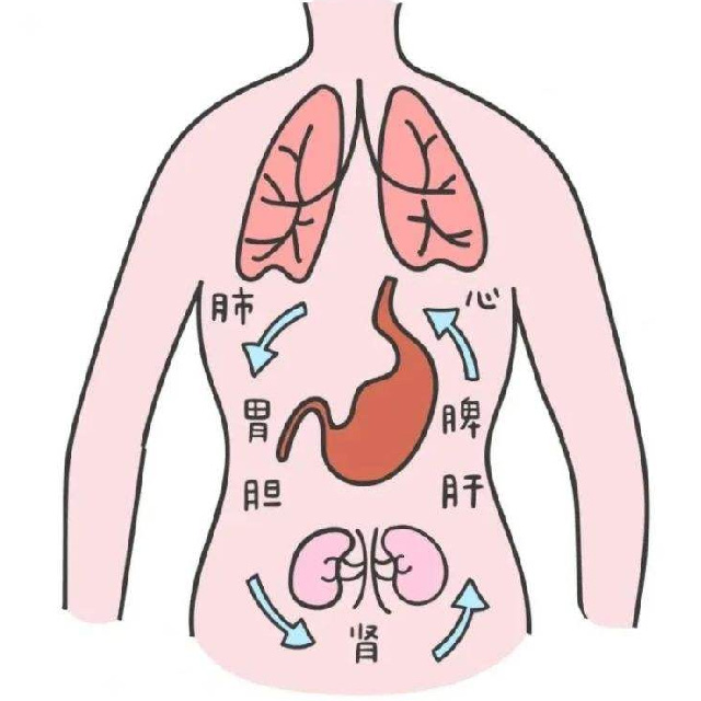 肝、胆、肺、脾胃、肾疾病
